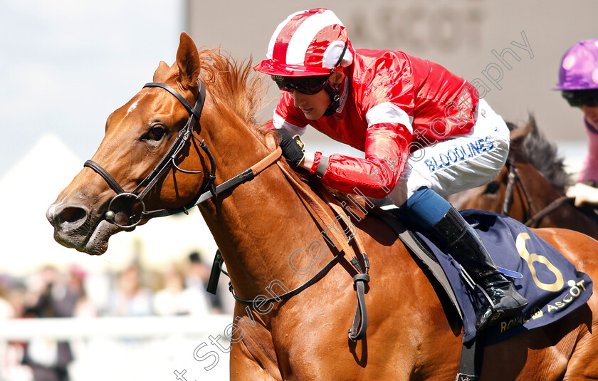 Daahyeh-0008 
 DAAHYEH (David Egan) wins The Albany Stakes
Royal Ascot 21 Jun 2019 - Pic Steven Cargill / Racingfotos.com