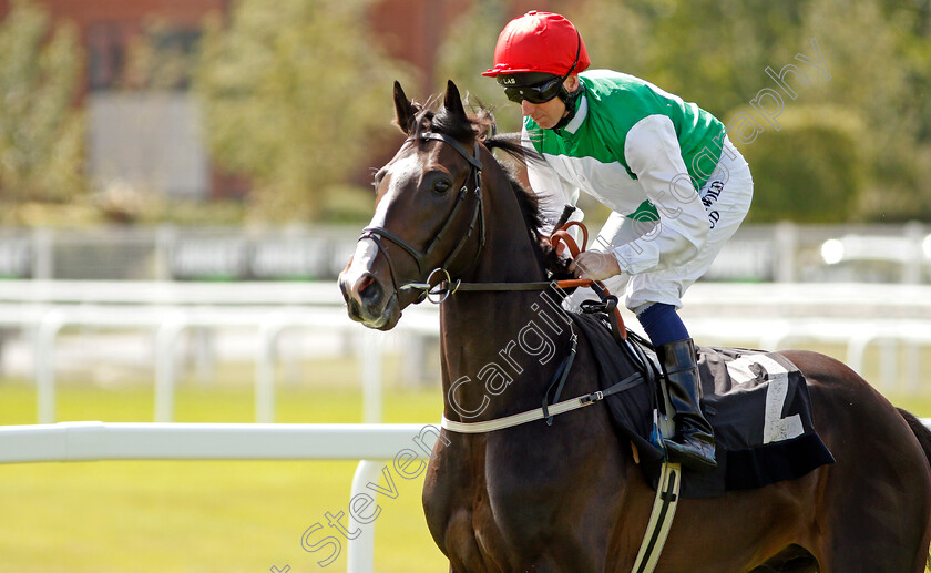 Pyledriver-0001 
 PYLEDRIVER (Martin Dwyer)
Newbury 17 Aug 2019 - Pic Steven Cargill / Racingfotos.com