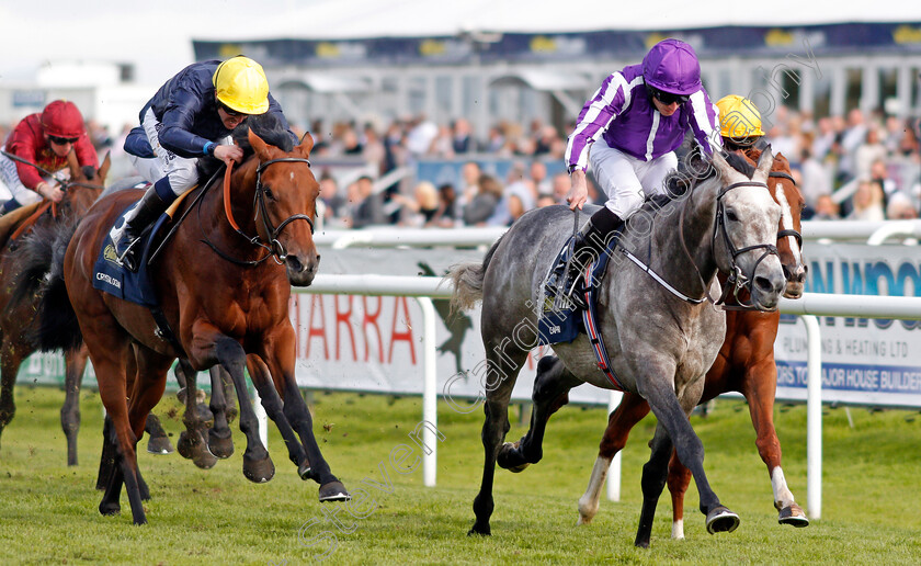 Capri-0009 
 CAPRI (Ryan Moore) beats CRYSTAL OCEAN (left) in The William Hill St Leger Doncaster 16 Sep 2017 - Pic Steven Cargill / Racingfotos.com