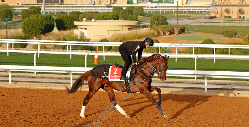 Breakup-0001 
 BREAKUP training for The Red Sea Turf Handicap
King Abdulaziz Racecourse, Saudi Arabia 20 Feb 2024 - Pic Steven Cargill / Racingfotos.com