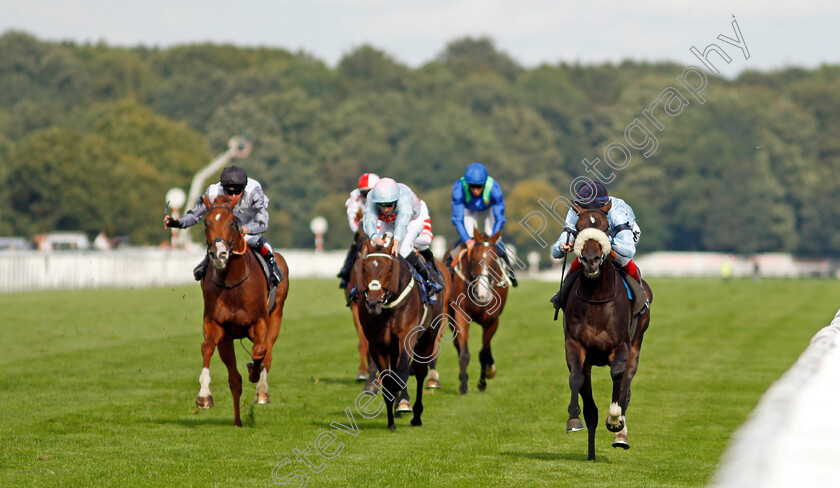 Title-0002 
 TITLE (David Egan) wins The Hippo Pro 3 Handicap
Doncaster 11 Sep 2021 - Pic Steven Cargill / Racingfotos.com