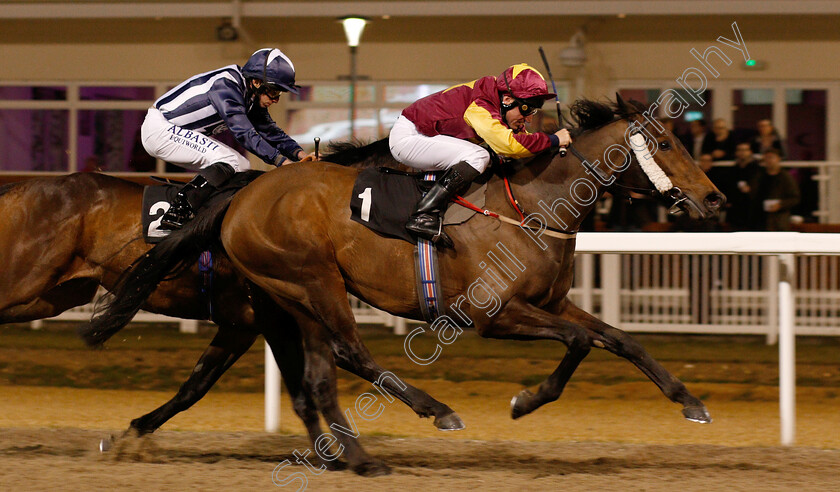 Executive-Force-0004 
 EXECUTIVE FORCE (John Egan) wins The Bet totequadpot At totesport.com Handicap
Chelmsford 21 Feb 2019 - Pic Steven Cargill / Racingfotos.com