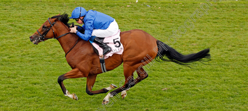 Hidden-Law-0002 
 HIDDEN LAW (William Buick) wins The Boodles Chester Vase
Chester 8 May 2024 - Pic Steven Cargill / Racingfotos.com