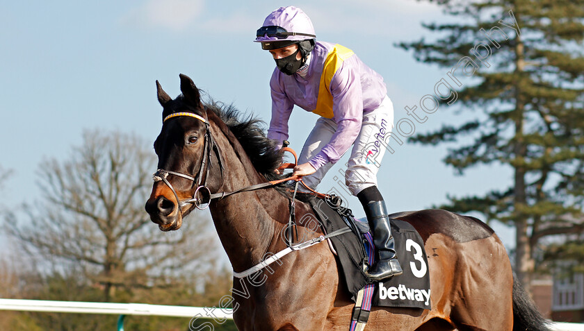 Moss-Gill-0001 
 MOSS GILL (P J McDonald)
Lingfield 27 Feb 2021 - Pic Steven Cargill / Racingfotos.com