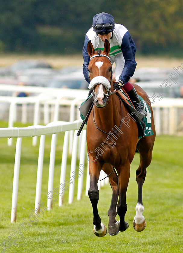 Coltrane-0006 
 COLTRANE (Oisin Murphy) winner of The Weatherbys Hamilton Lonsdale Cup
York 25 Aug 2023 - Pic Steven Cargill / Racingfotos.com