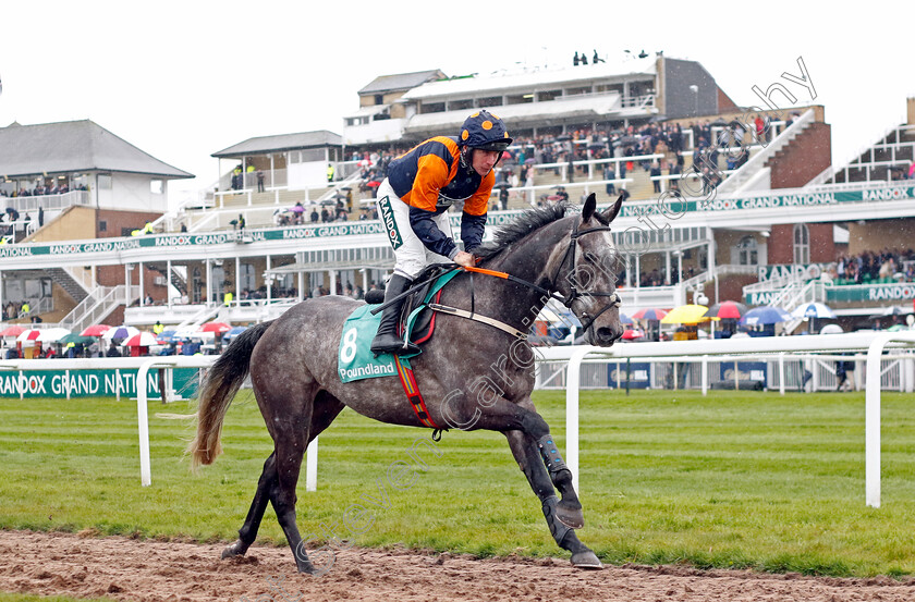 No-Looking-Back-0001 
 NO LOOKING BACK (Phillip Enright)
Aintree 14 Apr 2023 - Pic Steven Cargill / Racingfotos.com