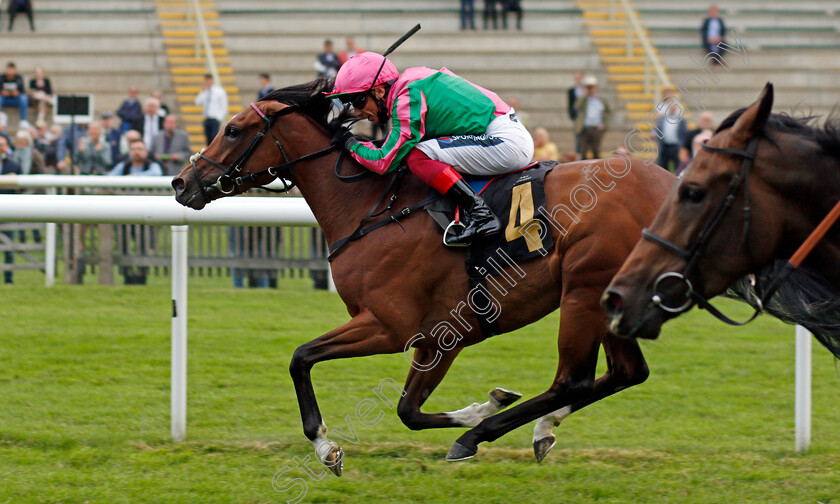 Gal-Wonder-0006 
 GAL WONDER (Frankie Dettori) wins The Rich Energy Sugar Free Fillies Novice Stakes
Newmarket 25 Jun 2021 - Pic Steven Cargill / Racingfotos.com