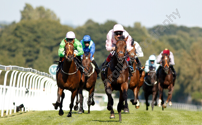 Too-Darn-Hot-0004 
 TOO DARN HOT (Frankie Dettori) wins The 188bet Solario Stakes
Sandown 1 Sep 2018 - Pic Steven Cargill / Racingfotos.com