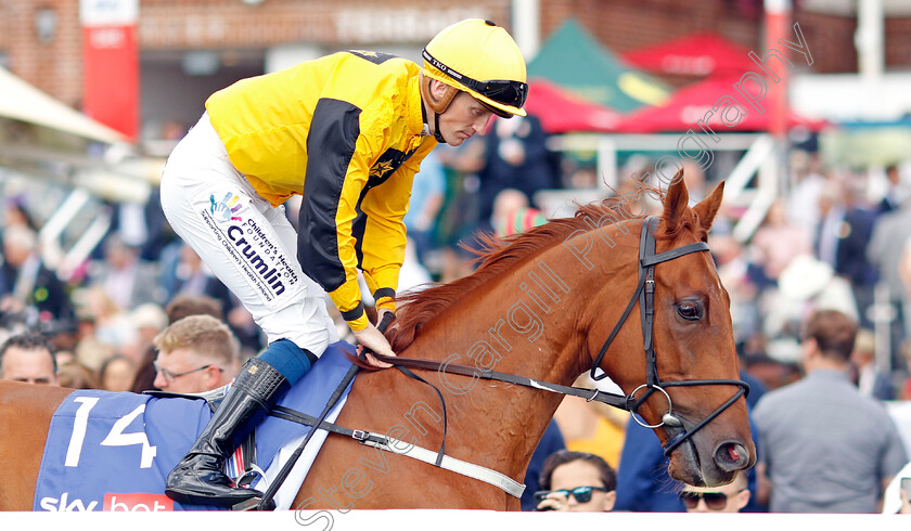 Earl-Of-Tyrone-0002 
 EARL OF TYRONE (W J Lee)
York 20 Aug 2022 - Pic Steven Cargill / Racingfotos.com