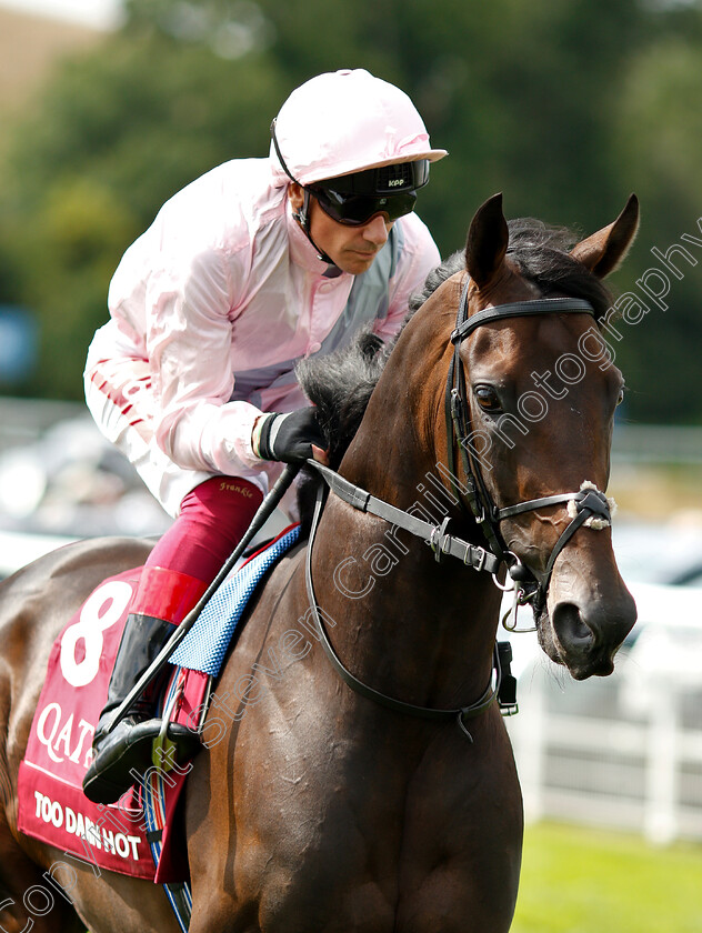 Too-Darn-Hot-0002 
 TOO DARN HOT (Frankie Dettori) before The Qatar Sussex Stakes
Goodwood 31 Jul 2019 - Pic Steven Cargill / Racingfotos.com