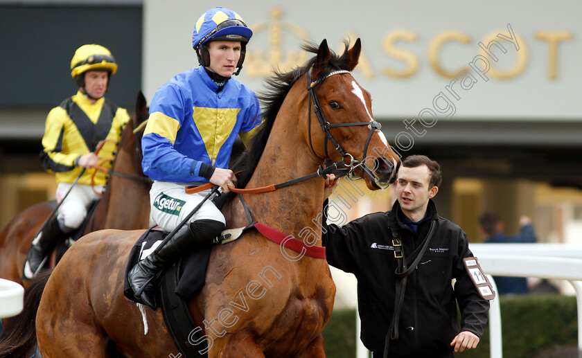 Reve-0001 
 REVE (Tom Bellamy)
Ascot 21 Dec 2018 - Pic Steven Cargill / Racingfotos.com