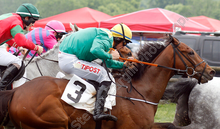 Chief-Justice-0002 
 CHIEF JUSTICE (Davy Russell) finishing 4th in The Marcellus Frost Champion Hurdle
Percy Warner Park, Nashville Tennessee USA, 11 May 2019 - Pic Steven Cargill / Racingfotos.com