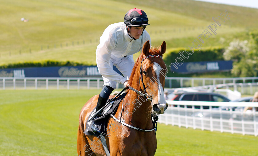 Fast-Tara-0001 
 FAST TARA (Ben Coen)
Goodwood 26 May 2023 - Pic Steven Cargill / Racingfotos.com