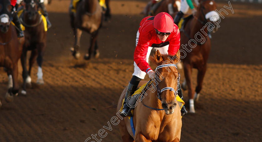 Nizaal-0009 
 NIZAAL (Pat Cosgrave) wins The Al Hudaiba Contracting LLC Maiden
Jebel Ali 11 Jan 2019 - Pic Steven Cargill / Racingfotos.com