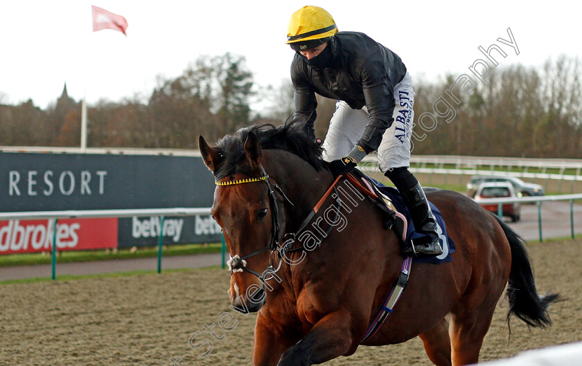 Almodovar-0001 
 ALMODOVAR (Tom Marquand)
Lingfield 19 Dec 2020 - Pic Steven Cargill / Racingfotos.com