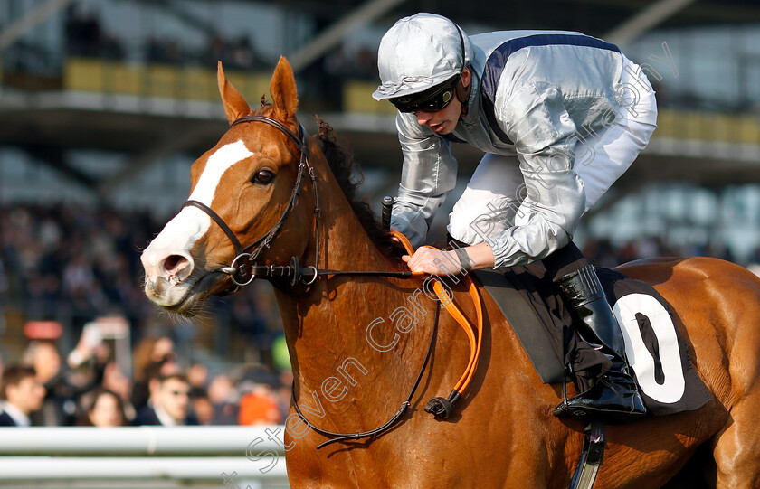 Lunar-Jet-0004 
 LUNAR JET (James Doyle) wins The Dubai Duty Free Millennium Millionaire Handicap
Newbury 13 Apr 2019 - Pic Steven Cargill / Racingfotos.com