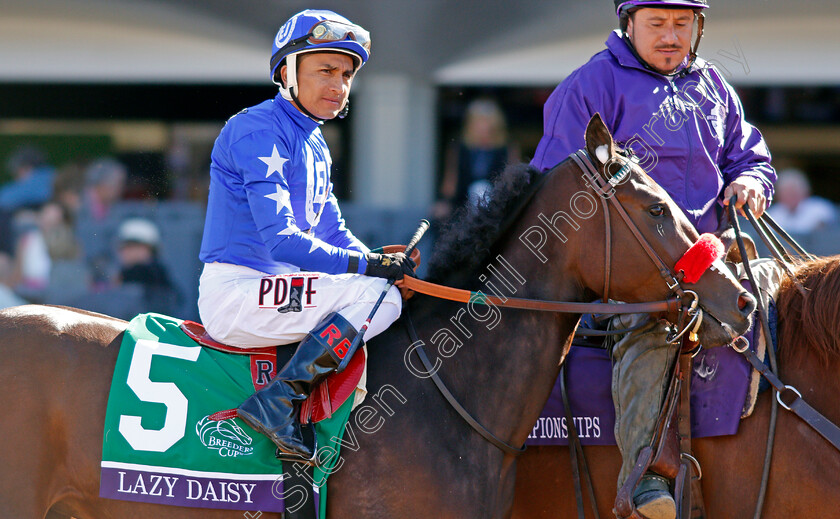 Lazy-Daisy-0001 
 LAZY DAISY (Rafael Bejarano)
Santa Anita 1 Nov 2019 - Pic Steven Cargill / Racingfotos.com