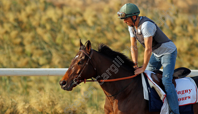 Magny-Cours-0005 
 MAGNY COURS exercising in preparation for Friday's Bahrain International Trophy
Sakhir Racecourse, Bahrain 18 Nov 2021 - Pic Steven Cargill / Racingfotos.com