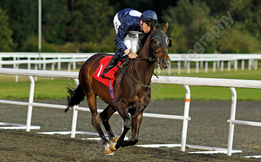 South-Pole-0001 
 SOUTH POLE (Billy Loughnane) 
Kempton 28 Aug 2024 - Pic Steven Cargill / Racingfotos.com