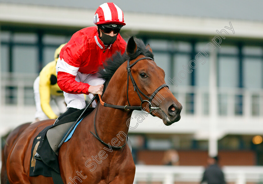 Fiftyshadesofred-0001 
 FIFTYSHADESOFRED (Jack Mitchell)
Nottingham 28 Oct 2020 - Pic Steven Cargill / Racingfotos.com