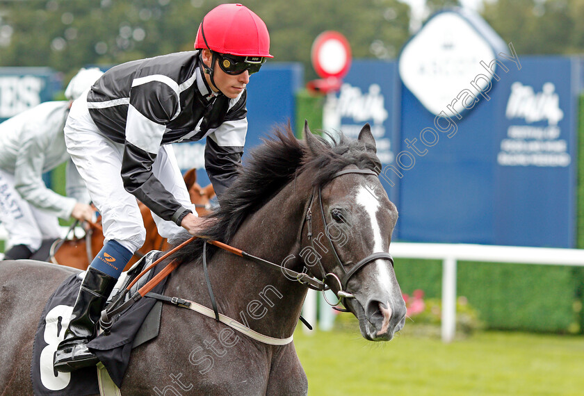 So-Special-0001 
 SO SPECIAL (Kieran Shoemark)
Ascot 7 Sep 2019 - Pic Steven Cargill / Racingfotos.com