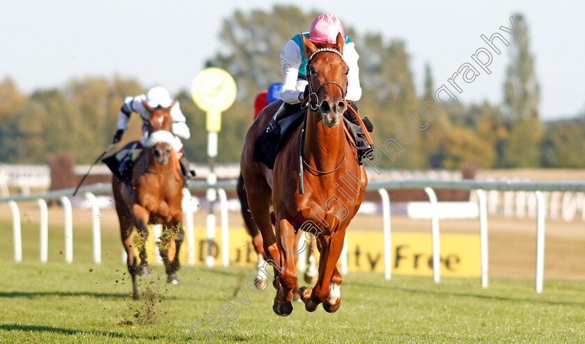 Quadrilateral-0008 
 QUADRILATERAL (Jason Watson) wins The Dubai Duty Free Full Of Surprises British EBF Fillies Conditions Stakes
Newbury 20 Sep 2019 - Pic Steven Cargill / Racingfotos.com