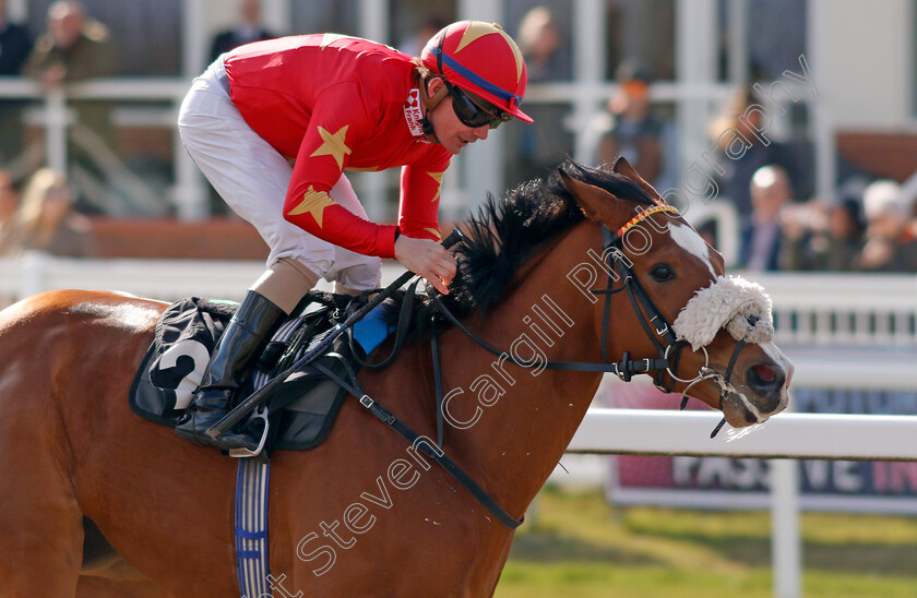 Mashaan-0003 
 MASHAAN (Kieran O'Neill) wins The Inaugural LB Group Handicap
Chelmsford 31 Mar 2022 - Pic Steven Cargill / Racingfotos.com