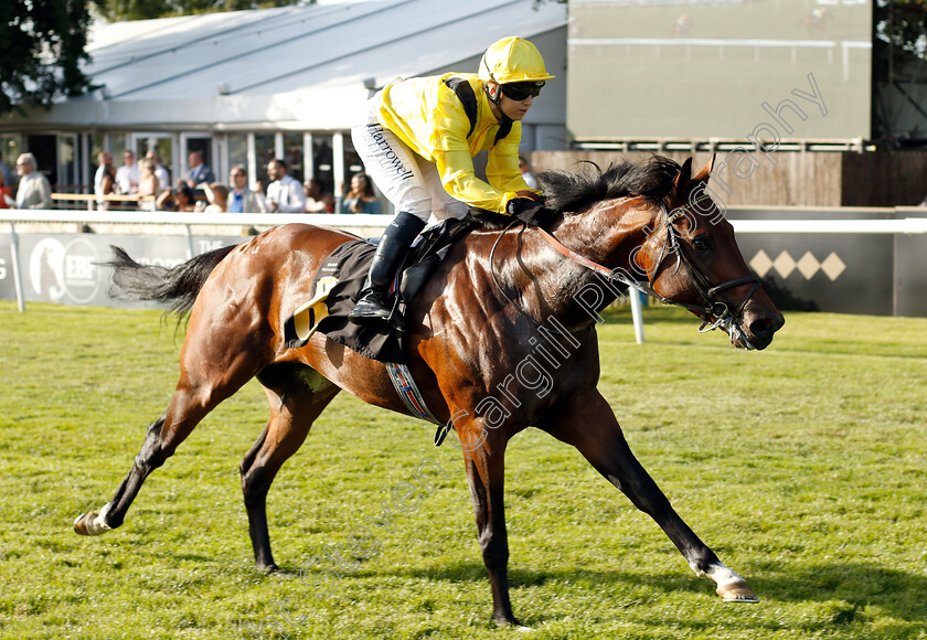 Nahaarr-0007 
 NAHAARR (Georgia Cox) wins The Jigsaw Sports Branding Handicap
Newmarket 28 Jun 2019 - Pic Steven Cargill / Racingfotos.com