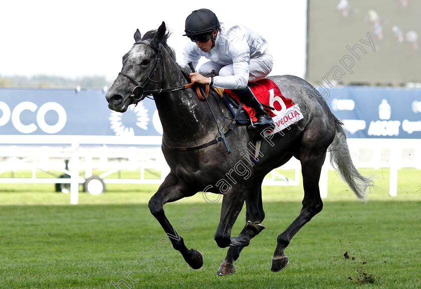 Lush-Life-0003 
 LUSH LIFE (William Buick) wins The Veolia Handicap
Ascot 5 Oct 2018 - Pic Steven Cargill / Racingfotos.com