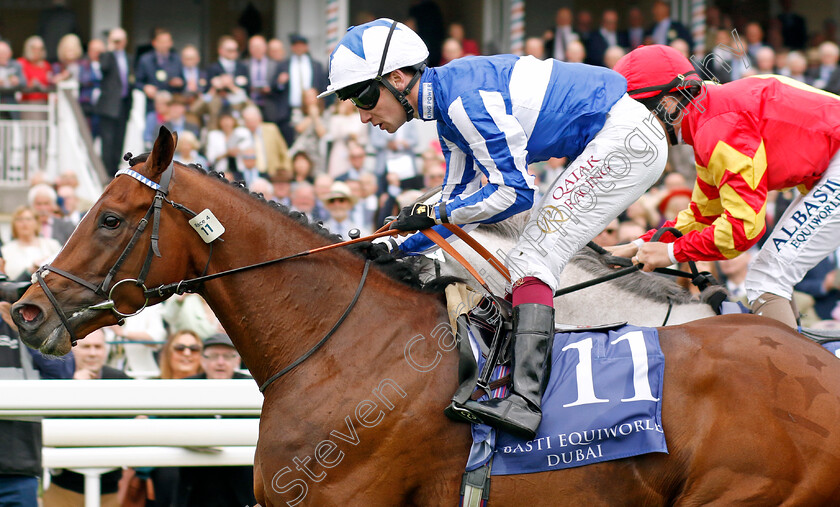 The-Foxes-0002 
 THE FOXES (Oisin Murphy) wins The Al Basti Equiworld Dubai Dante Stakes
York 18 May 2023 - Pic Steven Cargill / Racingfotos.com