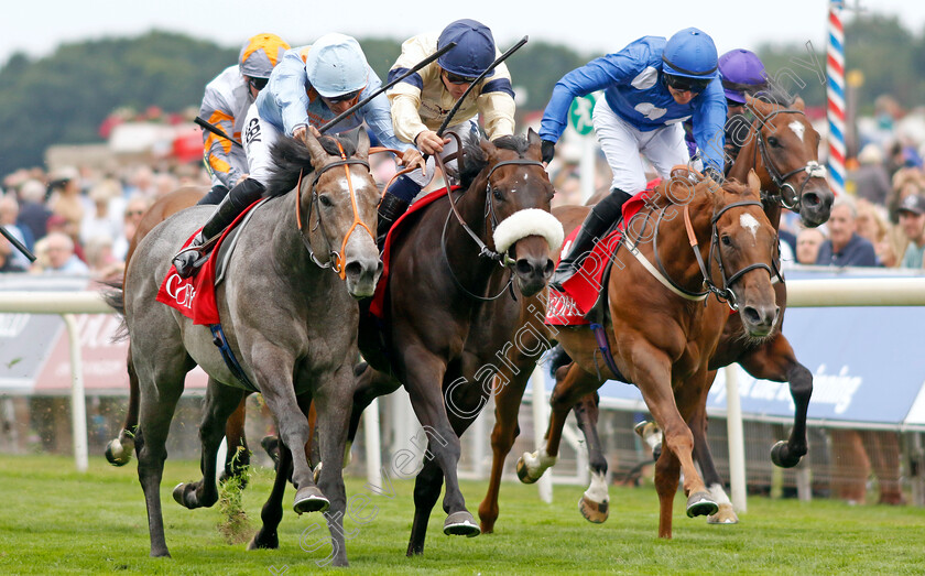 Shouldvebeenaring-0004 
 SHOULDVEBEENARING (left, Sean Levey) beats WASHINGTON HEIGHTS (centre) and NORTHCLIFF (right) in The Goffs UK Harry Beeby Premier Yearling Stakes
York 18 Aug 2022 - Pic Steven Cargill / Racingfotos.com