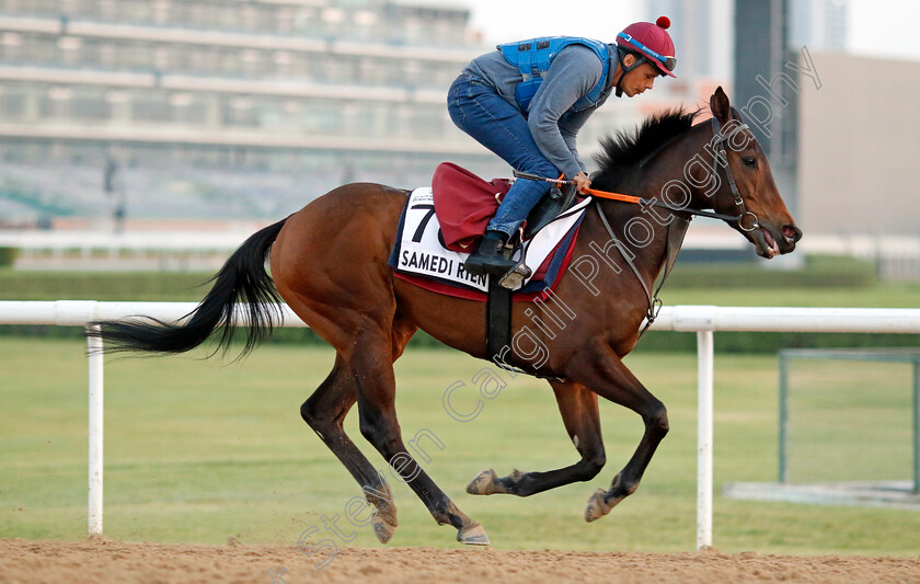 Samedi-Rien-0001 
 SAMEDI RIEN training at Meydan, Dubai
2 Feb 2023 - Pic Steven Cargill / Racingfotos.com