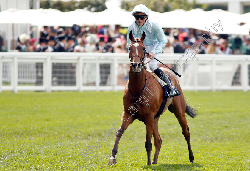 Watch-Me-0009 
 WATCH ME (Pierre-Charles Boudot) after The Coronation Stakes
Royal Ascot 21 Jun 2019 - Pic Steven Cargill / Racingfotos.com