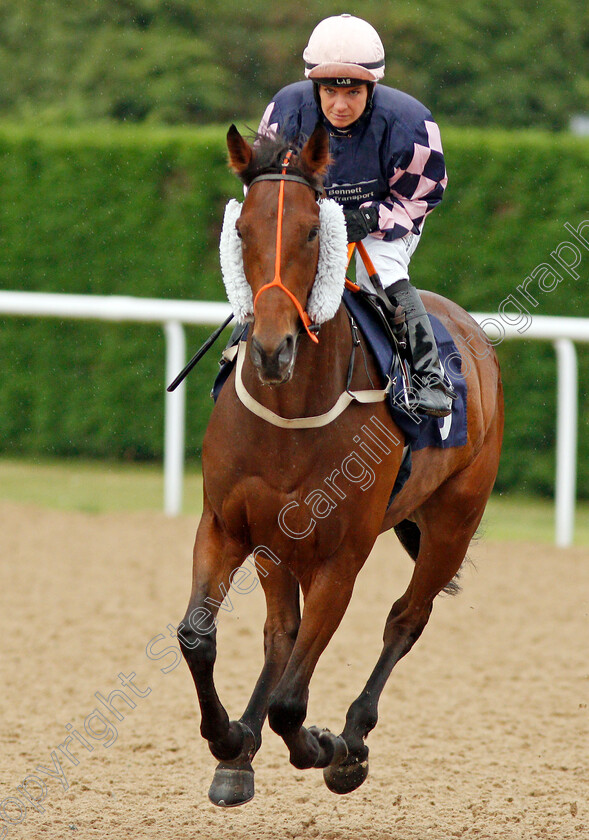 Mood-For-Mischief-0001 
 MOOD FOR MISCHIEF (Racheal Kneller)
Wolverhampton 17 Jul 2019 - Pic Steven Cargill / Racingfotos.com