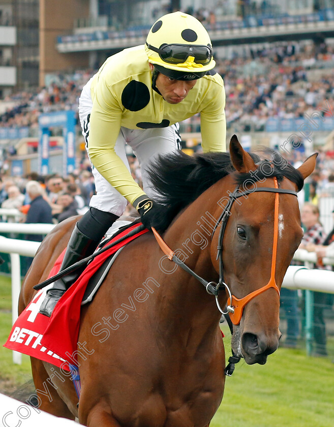 Rosallion-0001 
 ROSALLION (Sean Levey)
Doncaster 16 Sep 2023 - Pic Steven Cargill / Racingfotos.com