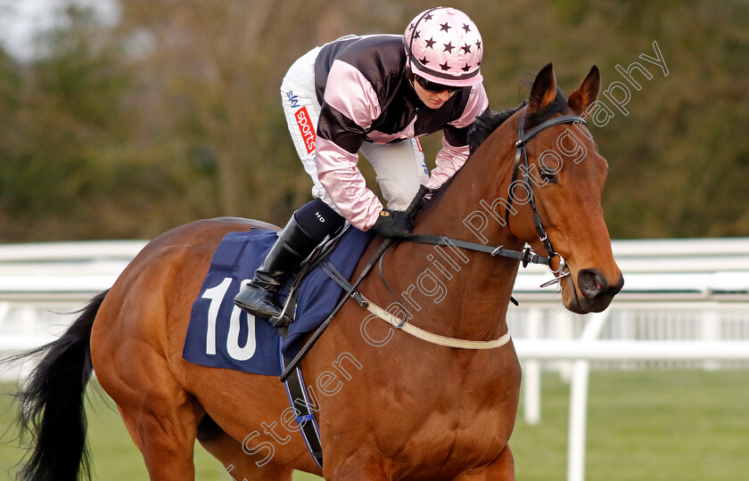 King s-Code-0002 
 KING'S CODE (Hollie Doyle)
Lingfield 20 Jan 2024 - Pic Steven Cargill / Racingfotos.com