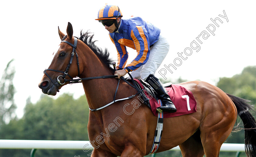 Actress-0002 
 ACTRESS (Wayne Lordan) 
Haydock 26 May 2018 - Pic Steven Cargill / Racingfotos.com