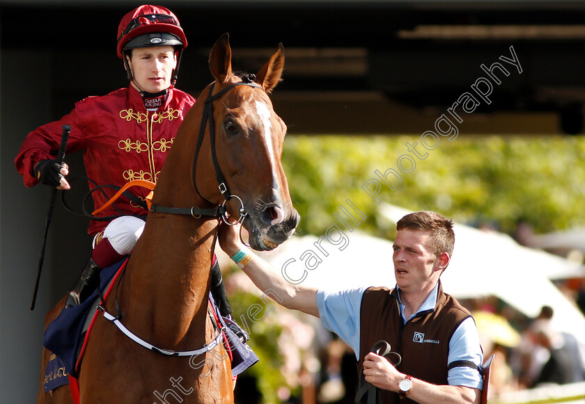 Pallasator-0001 
 PALLASATOR (Oisin Murphy)
Royal Ascot 22 Jun 2019 - Pic Steven Cargill / Racingfotos.com