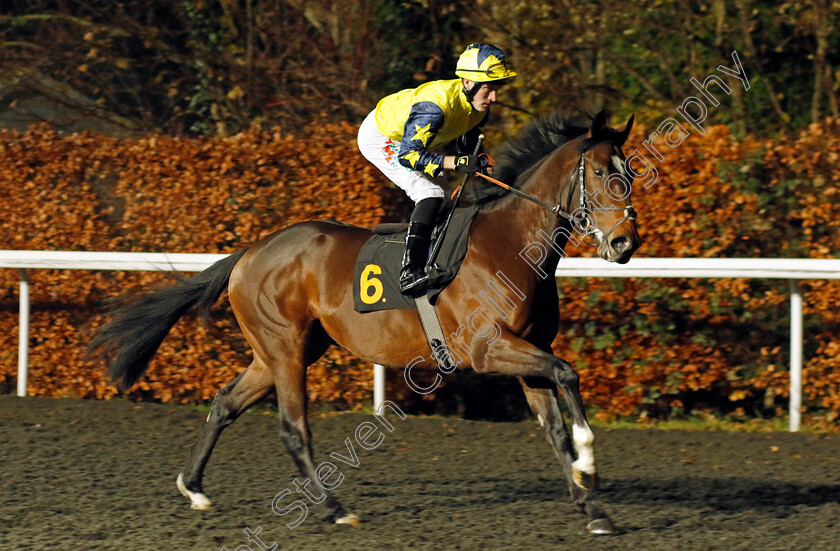 Kamboo-0004 
 KAMBOO (Finley Marsh) winner of The Unibet More Boosts In More Races EBF Novice Stakes Div1
Kempton 6 Dec 2023 - Pic Steven Cargill / Racingfotos.com