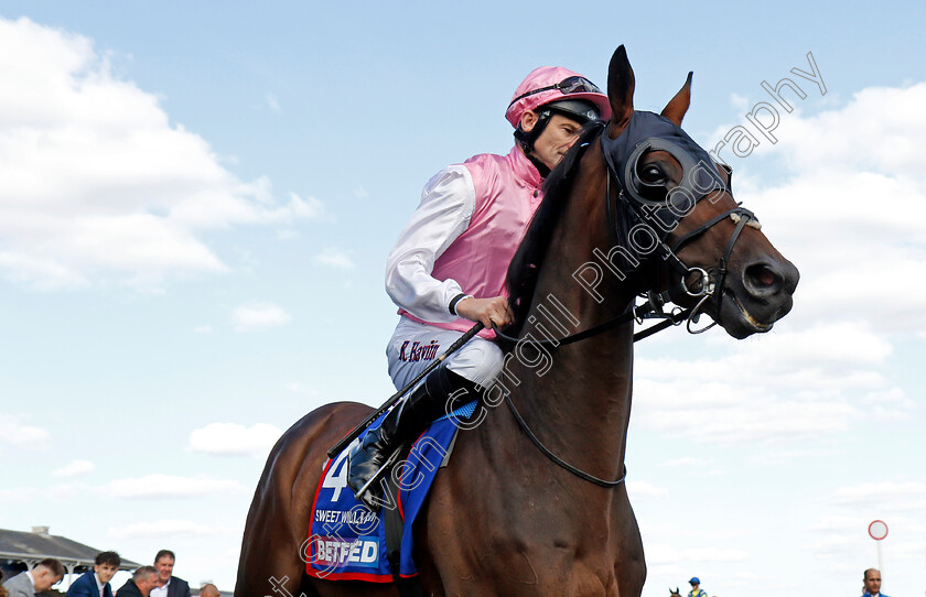 Sweet-William-0006 
 SWEET WILLIAM (Robert Havlin) winner of The Betfred Howard Wright Doncaster Cup
Doncaster 13 Sep 2024 - Pic Steven Cargill / Racingfotos.com