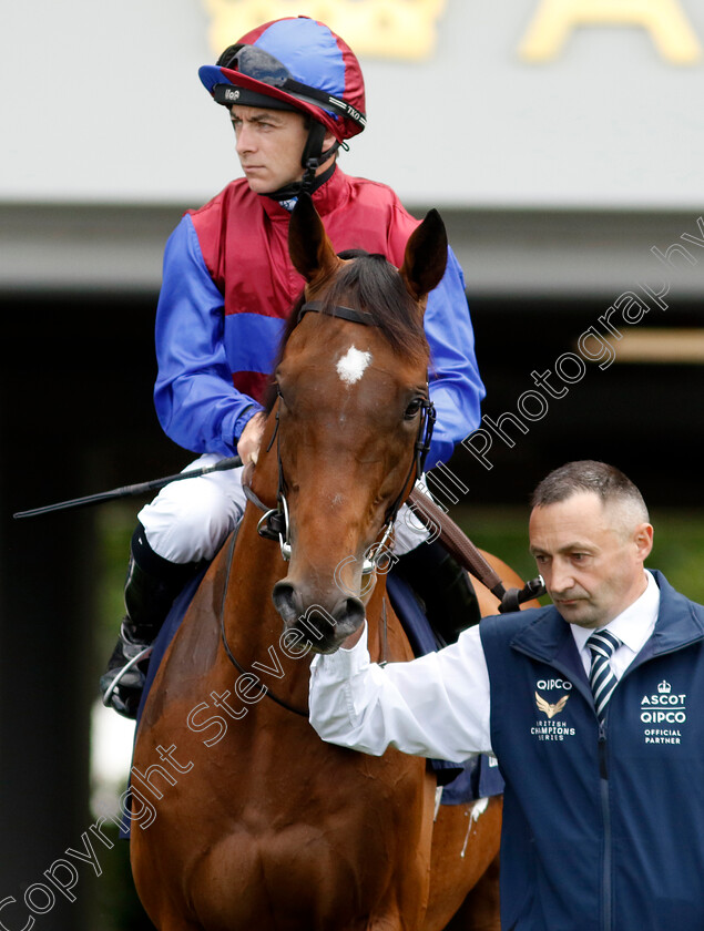 Luxembourg-0001 
 LUXEMBOURG (Wayne Lordan)
Ascot 27 Jul 2024 - Pic Steven Cargill / Racingfotos.com