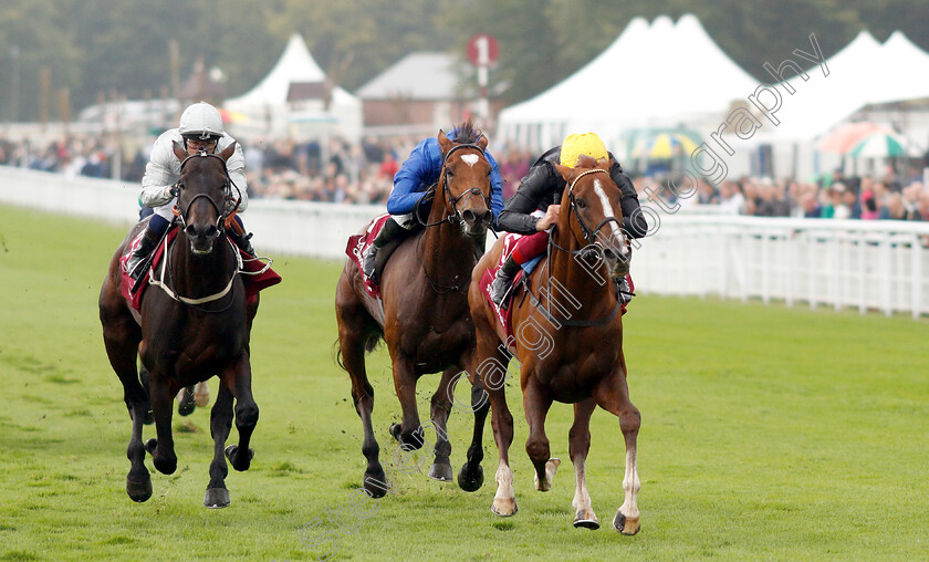 Stradivarius-0003 
 STRADIVARIUS (Frankie Dettori) beats DEE EX BEE (left) and CROSS COUNTER (centre) in The Qatar Goodwood Cup
Goodwood 30 Jul 2019 - Pic Steven Cargill / Racingfotos.com