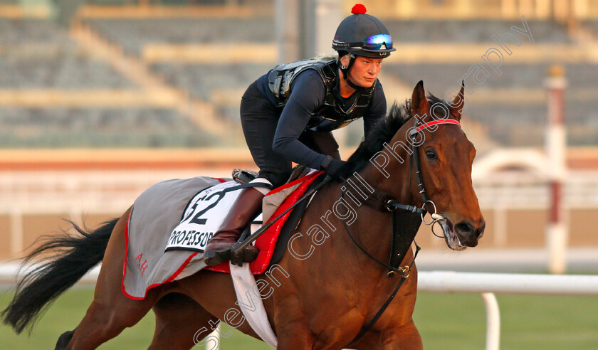 Mr-Professor-0003 
 MR PROFESSOR exercising for trainer Alice Haynes
Meydan, Dubai, 3 Feb 2022 - Pic Steven Cargill / Racingfotos.com