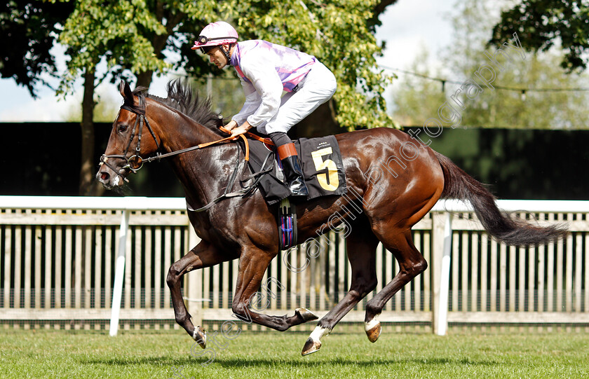 Renaissance-0001 
 RENAISSANCE (David Nolan)
Newmarket 7 Aug 2021 - Pic Steven Cargill / Racingfotos.com