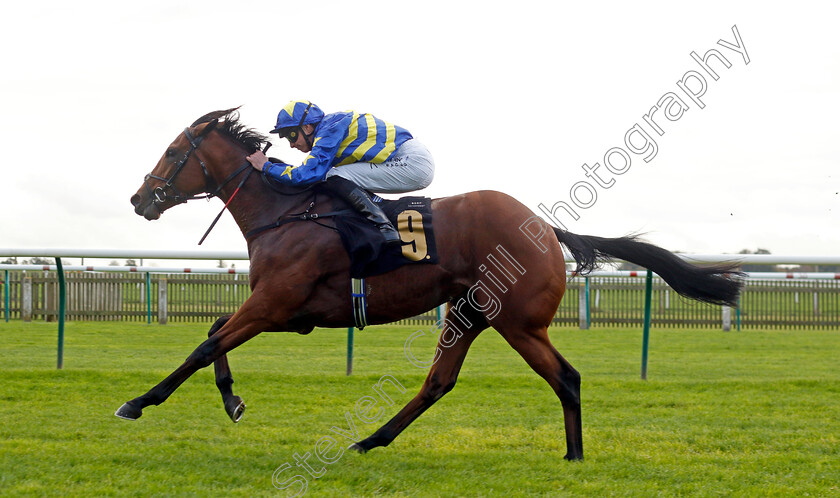 Treble-Tee-0001 
 TREBLE TEE (James Doyle) wins The Aston Martin Novice Stakes
Newmarket 23 Oct 2024 - Pic Steven Cargill / Racingfotos.com