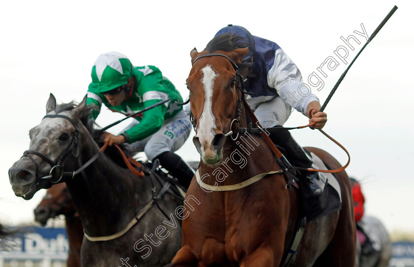 Rohaan-0001 
 ROHAAN (Neil Callan) wins The Ascot Iron Stand Membership Handicap
Ascot 6 Oct 2023 - Pic Steven Cargill / Racingfotos.com