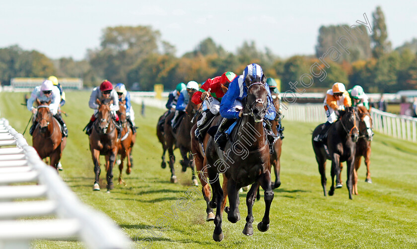 Emaraaty-0005 
 EMARAATY (Jim Crowley) wins The Wedgewood Estates EBF Novice Stakes Div2 Newbury 23 Sep 2017 - Pic Steven Cargill / Racingfotos.com