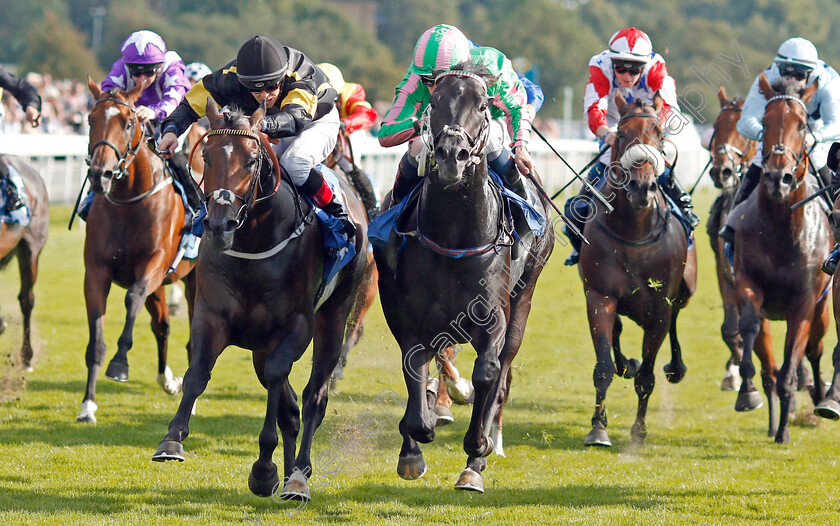 Pogo-0001 
 POGO (right, Kieran Shoemark) beats VITRALITE (left) in The Nationwide Accident Repair Services Handicap
York 23 Aug 2019 - Pic Steven Cargill / Racingfotos.com