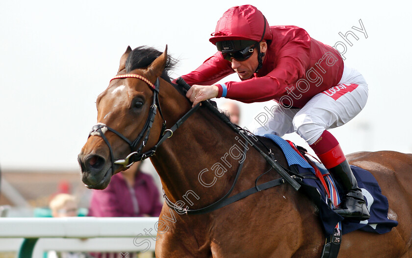 King-Of-Comedy-0008 
 KING OF COMEDY (Frankie Dettori) wins The Eastern Power Systems Of Norwich Novice Stakes
Yarmouth 23 Apr 2019 - Pic Steven Cargill / Racingfotos.com