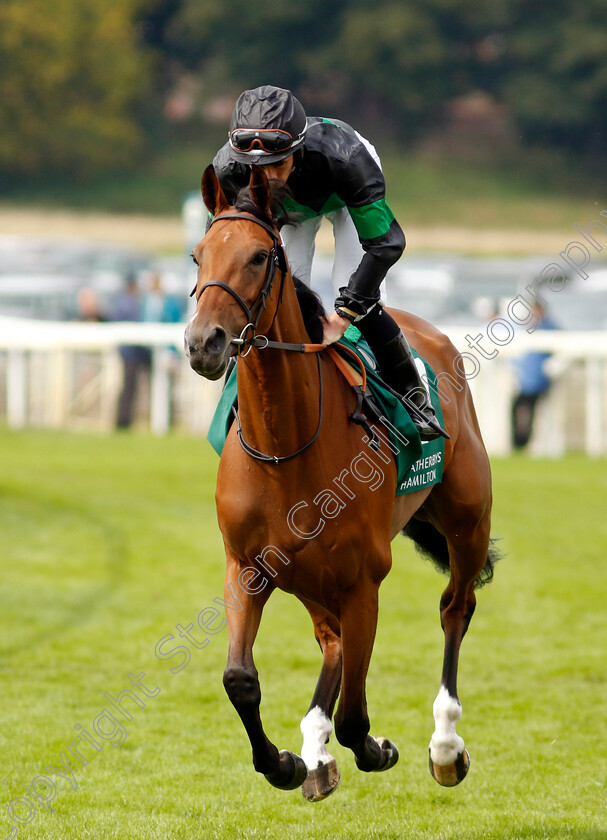 River-Of-Stars-0001 
 RIVER OF STARS (Rossa Ryan)
York 25 Aug 2023 - Pic Steven Cargill / Racingfotos.com